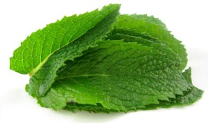 Health-Benefits-of-Mint