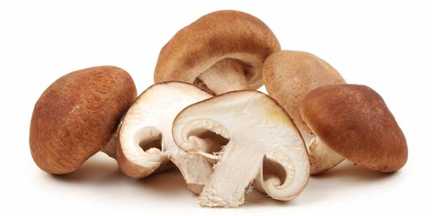shitake-mushrooms-small