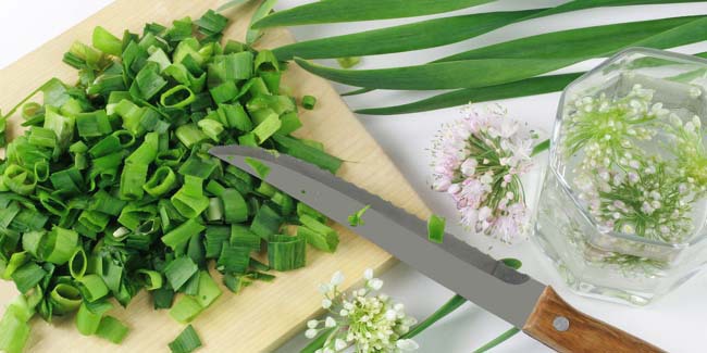 manfaat-yang-kamu-dapat-ketika-makan-daun-bawang