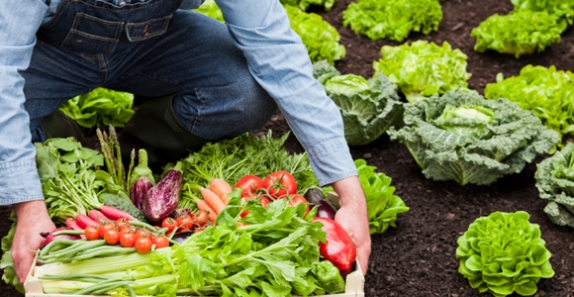 Organic-food-for-weight-loss