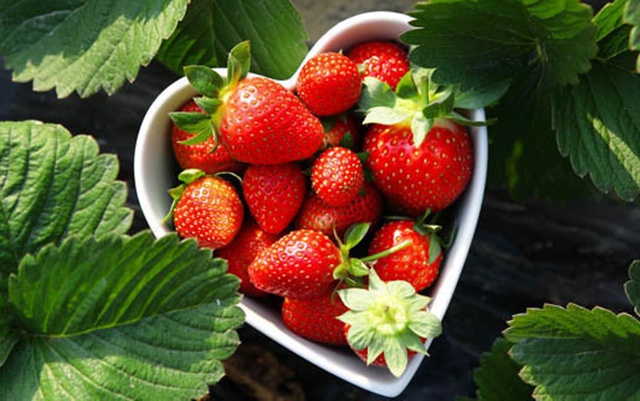 rambut-strawberry