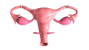 178508-menstruasi-nggak-teratur