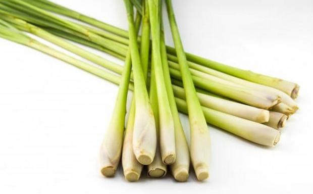 daun-serai