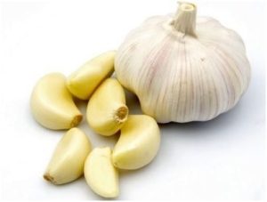 garlic