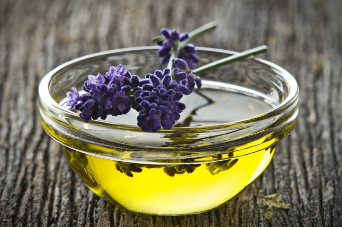 olympic-lavender-oil