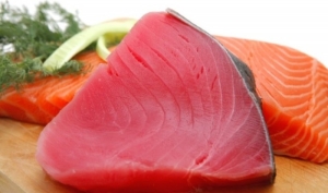 salmon&tuna