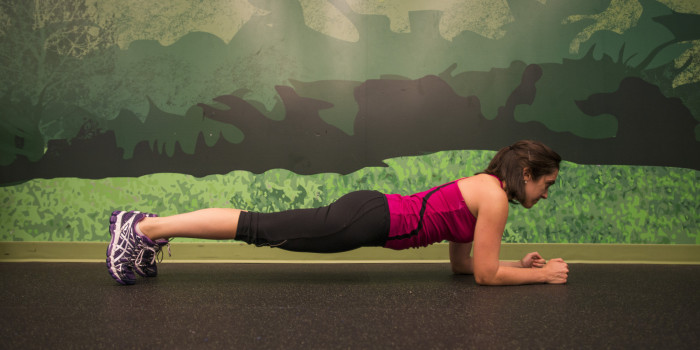 Plank Instructional Form