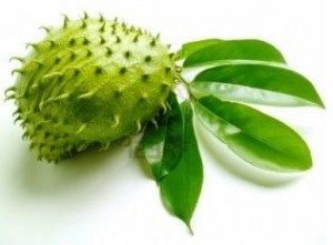 daun-sirsak-300x221