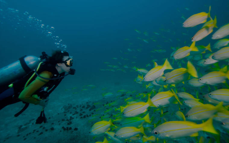 feature-image-scuba-diving-in-andaman