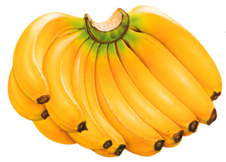 Manfaat-Buah-Pisang