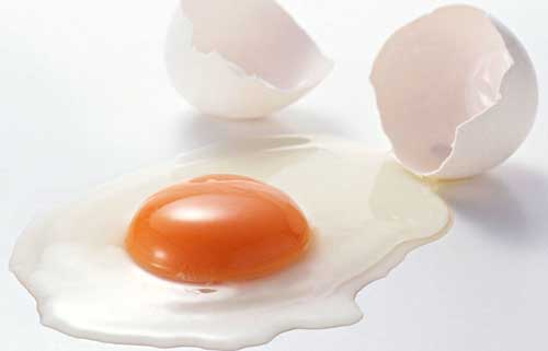 telur